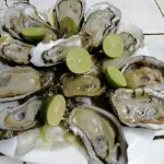 Docena de ostión
