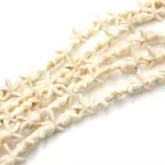 Separador estrella Beige(P/turquesa)