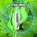 Fresh Mint