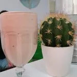 Shake Proteico Delícia de Abacaxi