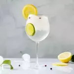 Gin Tonic