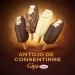 GIGA PALETA
