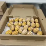 25un Mini Churros doce de leite