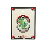 Pin Rayqaza