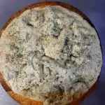 pizza de salame (familiar)