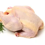 Gallina Criolla