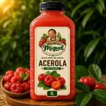 SUCO ACEROLA 1 LITRO