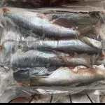 SARDINHA KG