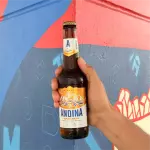 Cerveza Andina