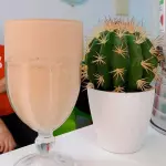 Shakes Proteico Torta de Limão