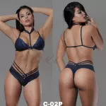 PAXION  C-02P
