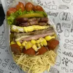 X-TUDO  FRANGO