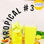 TROPICAL #3