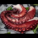 Pulpo