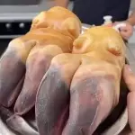 PATA DE RES