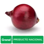 Purple Onion Price Per Kg