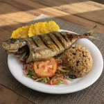 COJINUA TAGANGUERA FRITA