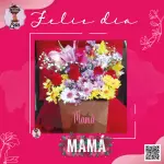 Box Flores2