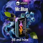 Mr. Blue