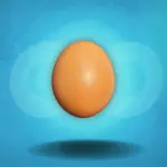 🍳Ovo