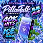 Pillow- Blue Mint 🫐🫐🧊🧊