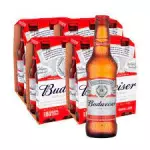 Budweiser long neck - pack 24 uni