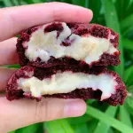 COOKIE RED VELVET
