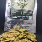 Lúpulo Saaz 10g Vácuo Anti-UV