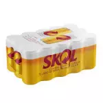 CX. SKOL 269ML C/15 UN