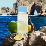 Dolce & Gabbana Light Blue 100ml
