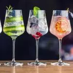 GIN TONIC