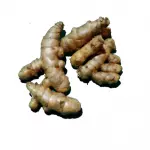 Açafrão Bandeja