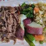 Carne desfiada c/arroz primavera