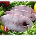 PESCADA AMARELA