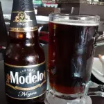 MODELO OSCURA