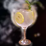 Vodka Tonic / Vodka Tonic