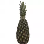 Abacaxi Pérola