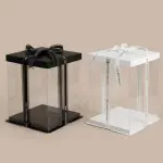 1192 CAJA DE ACETATO - 30X18CM