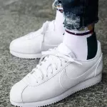 ZPT.H10