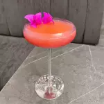 ROSA TROPICAL