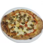 Funghi