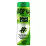 17 Ervas Apinil-200ml