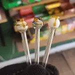 PITEIRA DE VIDRO POTE DE MEL - 3 UN