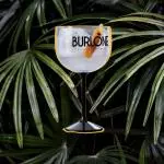 Gin, energético e fruta