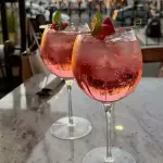 VODKA TONIC 2x1