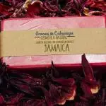 Jabon de jamaica