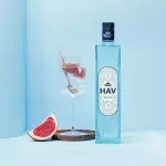 GIN HAV