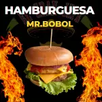 Mr. Bobol