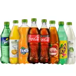 Refresco 355 ml