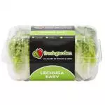 Lechuga Corazón Baby 6 piezas